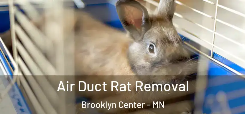  Air Duct Rat Removal Brooklyn Center - MN