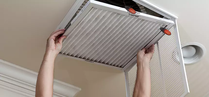 Our Insect Removal from Air Ducts Services in Brooklyn Center, MN