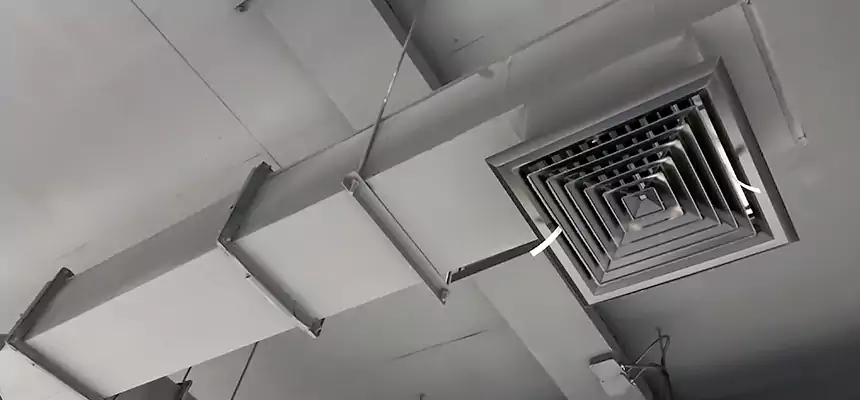 Our Rodent Droppings In Vents Services in Brooklyn Center, MN