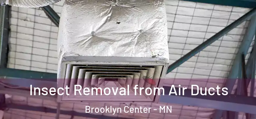  Insect Removal from Air Ducts Brooklyn Center - MN