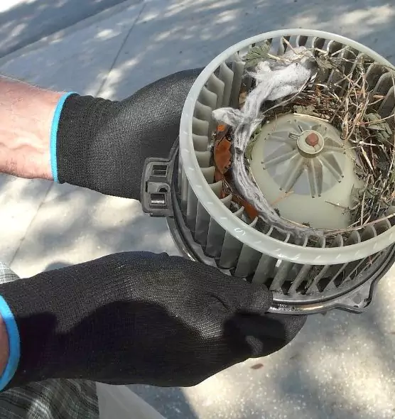 About Air Duct Mice Removal in Brooklyn Center, MN