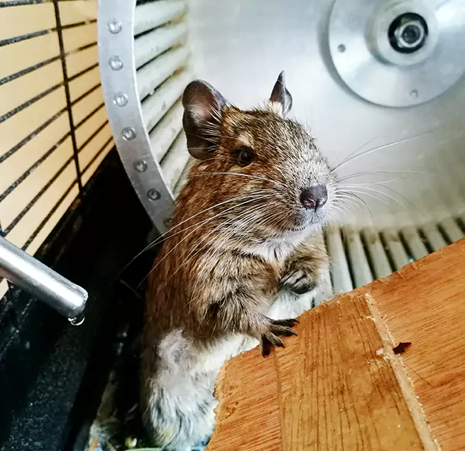 Why Homeowners & Businesses Trust Us Brooklyn Center, MN